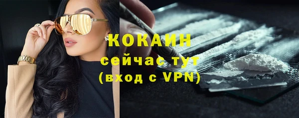 трава Абаза