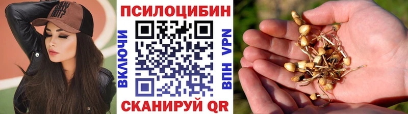 Псилоцибиновые грибы Psilocybine cubensis  Елизаветинская 