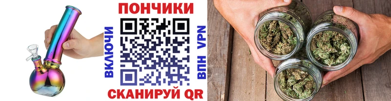 Каннабис Amnesia  купить наркоту  Елизаветинская 